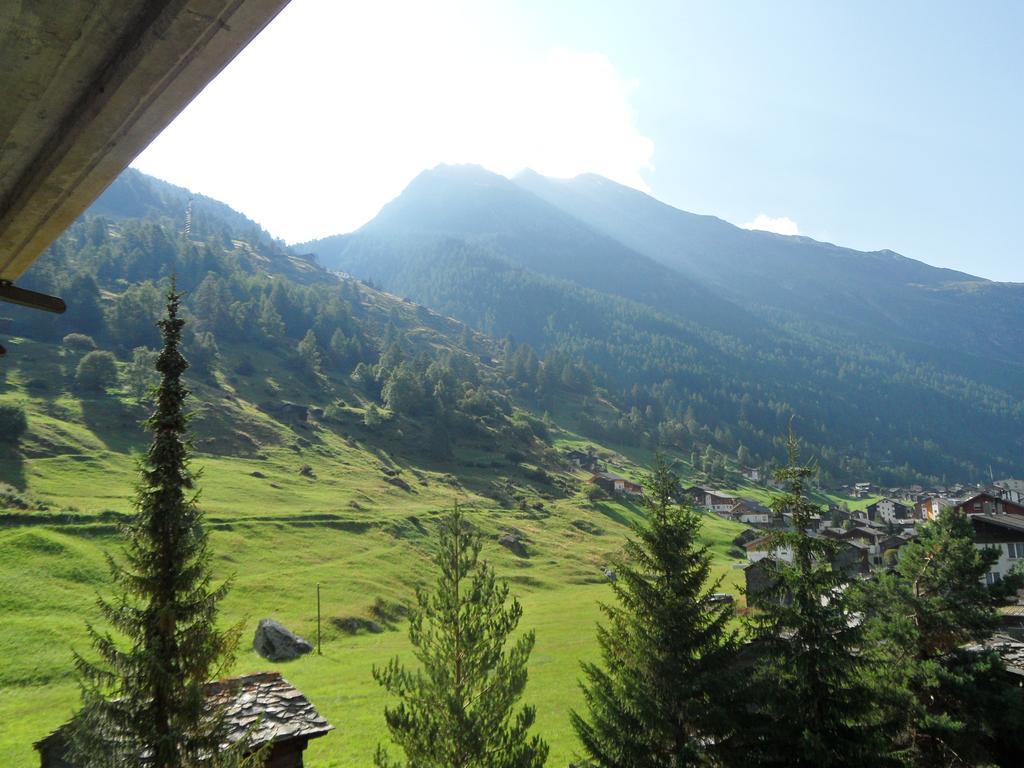 Appartements Monte Rosa Tasch Bilik gambar